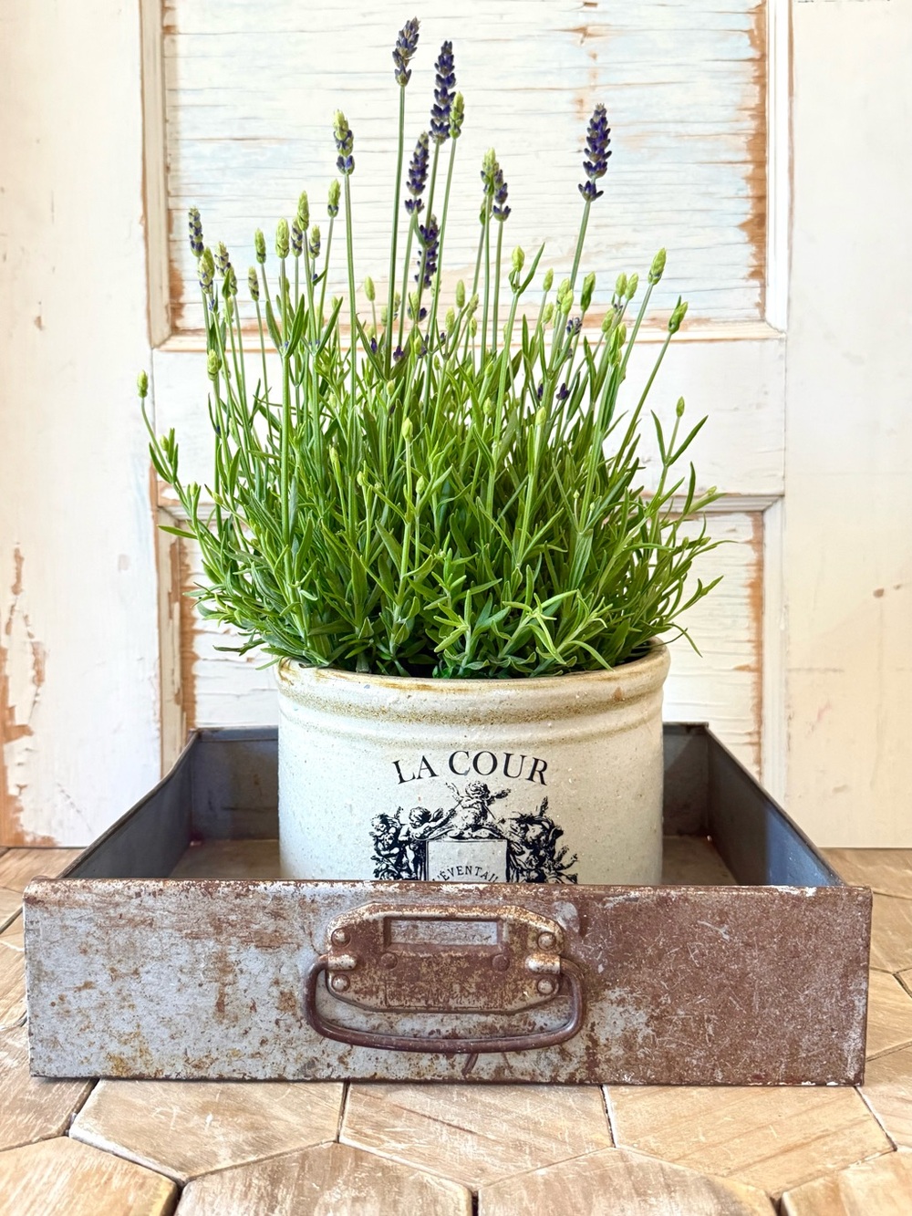 Vintage Rustic Iron Tray/Drawer w/Handle, Galvanized Metal